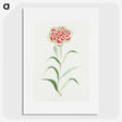 1-8_19th-Century-Japanese-Flowers_picture