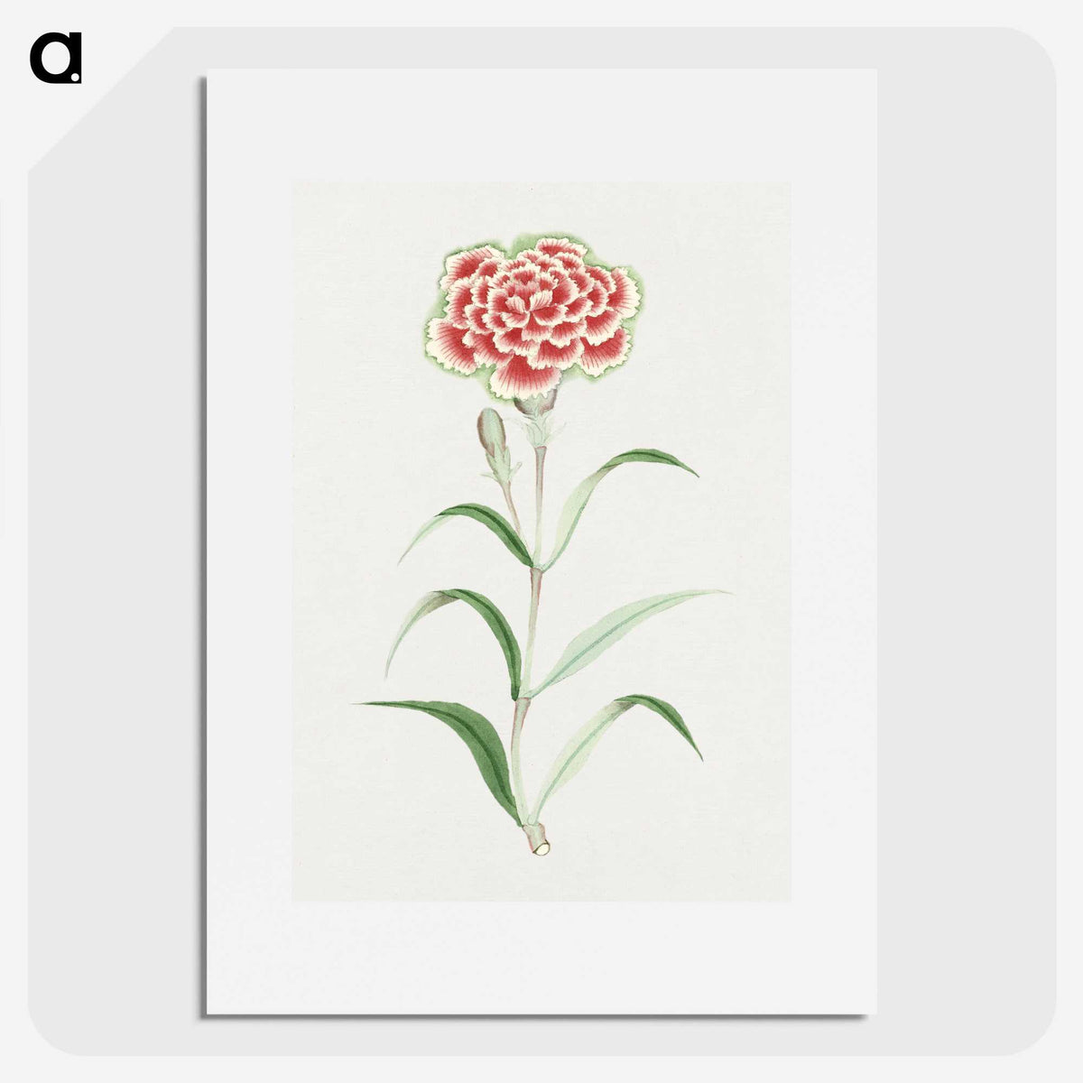 1-8_19th-Century-Japanese-Flowers_picture