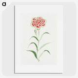 1-8_19th-Century-Japanese-Flowers_picture