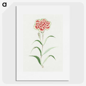 1-8_19th-Century-Japanese-Flowers_picture