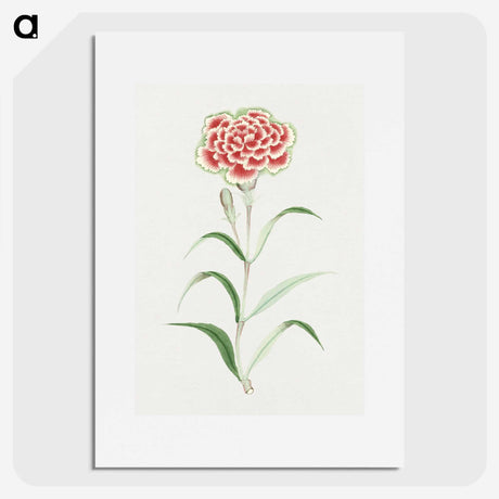 1-8_19th-Century-Japanese-Flowers_picture
