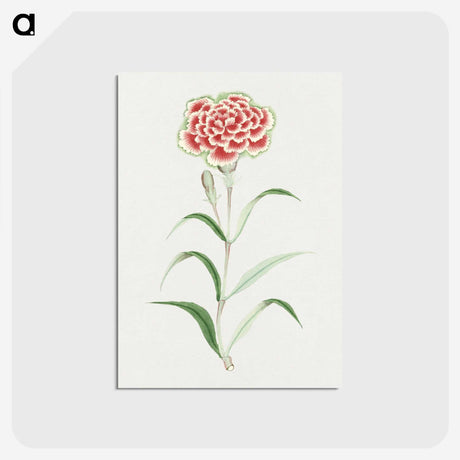 1-8_19th-Century-Japanese-Flowers_postcard