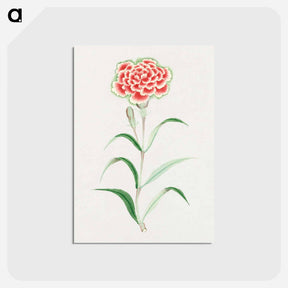 アートポストカード-Nadeshiko - 19世紀の日本の花 Postcard.