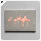 Flamingoes - アボット ハンダーソン セイヤー Canvas.