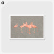 アートポストカード-Flamingoes - アボット ハンダーソン セイヤー Postcard.