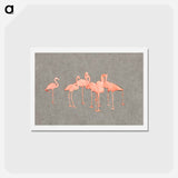 アートポストカード-Flamingoes - アボット ハンダーソン セイヤー Postcard.