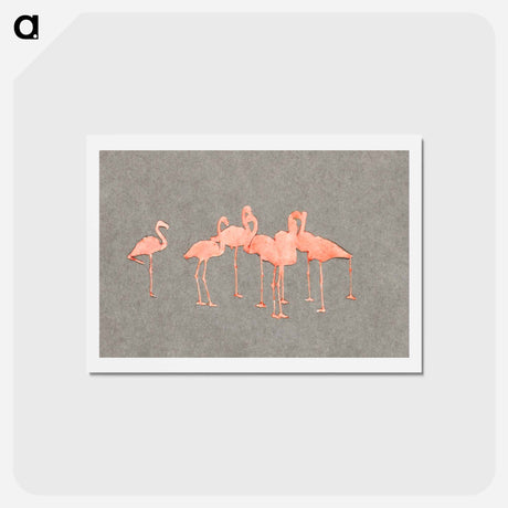 アートポストカード-Flamingoes - アボット ハンダーソン セイヤー Postcard.