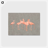 アートポストカード-Flamingoes - アボット ハンダーソン セイヤー Postcard.