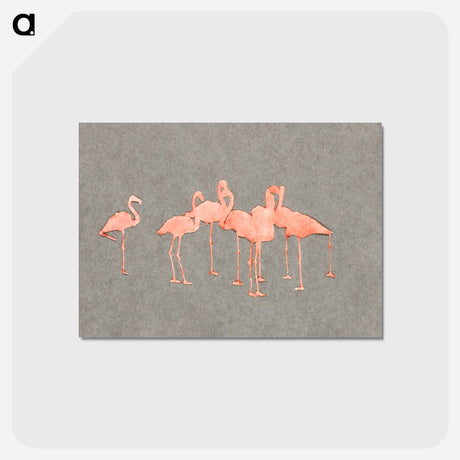 アートポストカード-Flamingoes - アボット ハンダーソン セイヤー Postcard.