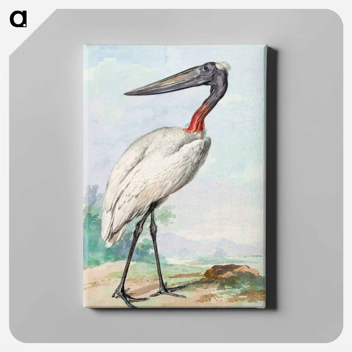 Jabiru - アールト シューマン Canvas.