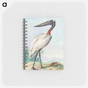 アートメモ帳-Jabiru - アールト シューマン Memo.