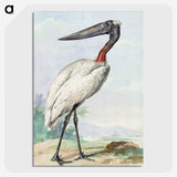 1-8_Aert-Schouman_picture-crop