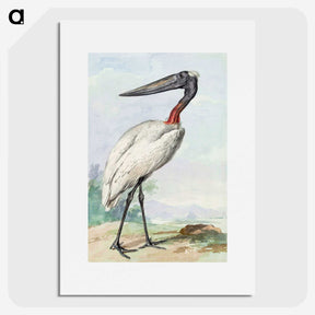 1-8_Aert-Schouman_picture