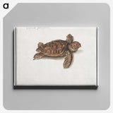 1-8_Anselmus-Boetius-de-Boodt_canvas