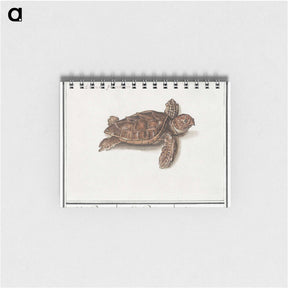 1-8_Anselmus-Boetius-de-Boodt_memo