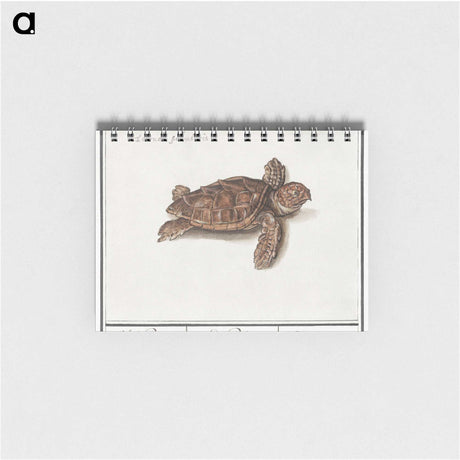 1-8_Anselmus-Boetius-de-Boodt_memo