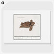 1-8_Anselmus-Boetius-de-Boodt_picture
