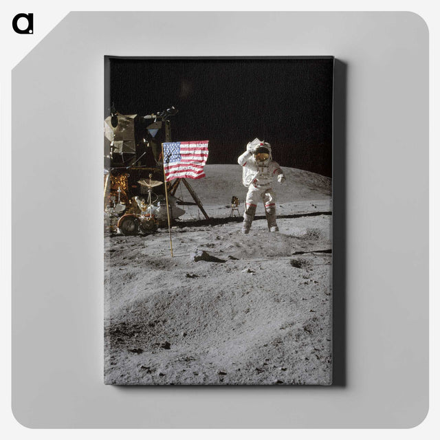 1-8_Apollo-Moon-Landing_canvas