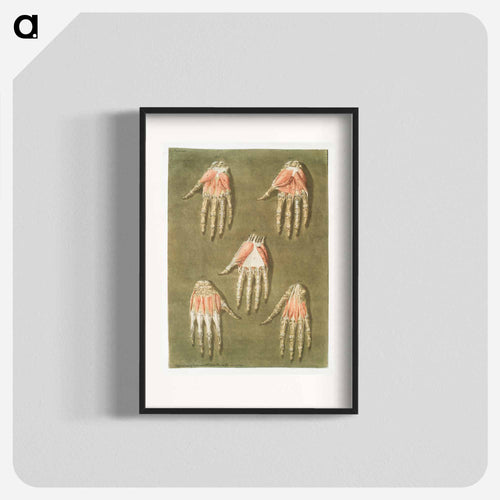 This fascinating collection of anatomical illustrations - アルノルド エロイ ゴーティエ ダゴティ Poster.