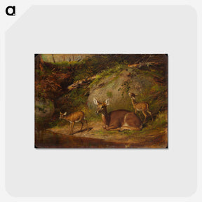 1-8_Arthur-Fitzwilliam-Tait_postcard
