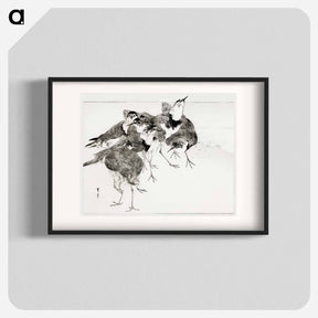 アートポスター-Little Ringed Plover, Illustration from Bijutsu Sekai
 - 美術世界 Poster.