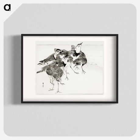 アートポスター-Little Ringed Plover, Illustration from Bijutsu Sekai
 - 美術世界 Poster.