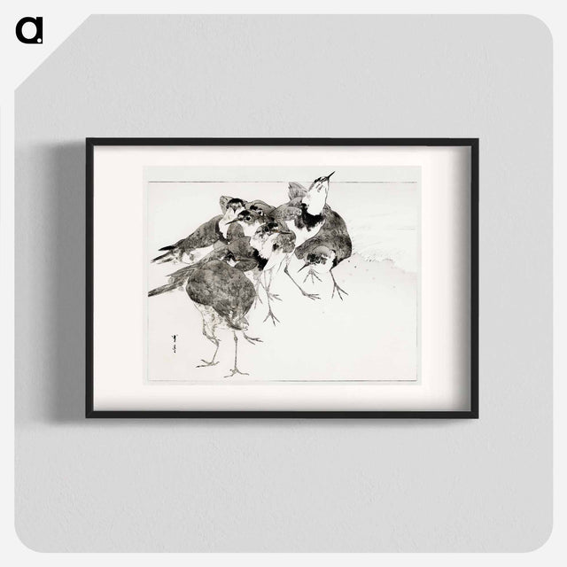 アートポスター-Little Ringed Plover, Illustration from Bijutsu Sekai
 - 美術世界 Poster.