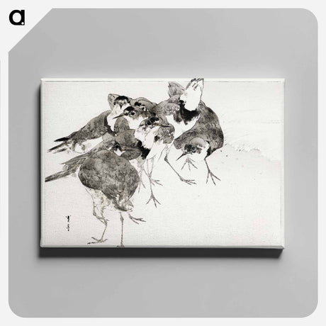 アートパネル-Little Ringed Plover, Illustration from Bijutsu Sekai
 - 美術世界 Canvas.