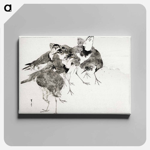 Little Ringed Plover, Illustration from Bijutsu Sekai
 - 美術世界 Canvas.