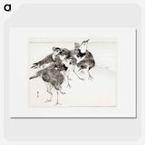 アートポスター-Little Ringed Plover, Illustration from Bijutsu Sekai
 - 美術世界 Poster.