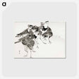 アートポストカード-Little Ringed Plover, Illustration from Bijutsu Sekai
 - 美術世界 Postcard.