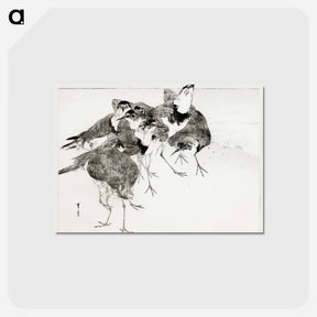 アートポストカード-Little Ringed Plover, Illustration from Bijutsu Sekai
 - 美術世界 Postcard.