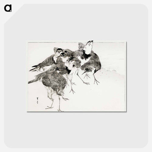 Little Ringed Plover, Illustration from Bijutsu Sekai
 - 美術世界 Postcard.