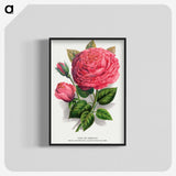 1-8_Botanical-Specimen-Plates_blk-crop
