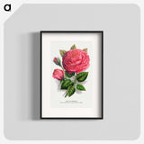 1-8_Botanical-Specimen-Plates_blk