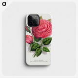 1-8_Botanical-Specimen-Plates_phone