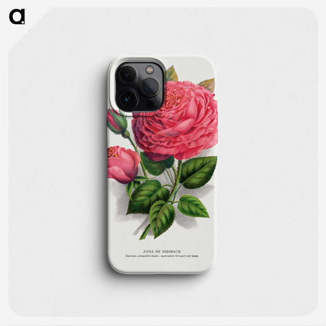 1-8_Botanical-Specimen-Plates_phone