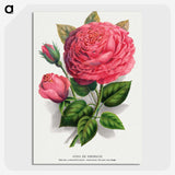 1-8_Botanical-Specimen-Plates_picture-crop