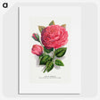 1-8_Botanical-Specimen-Plates_picture
