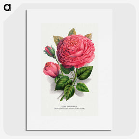 1-8_Botanical-Specimen-Plates_picture