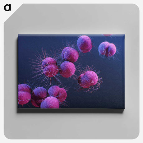 1-8_COVID-19_canvas