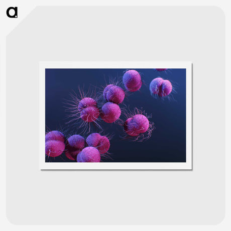 1-8_COVID-19_hagaki