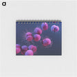 1-8_COVID-19_memo