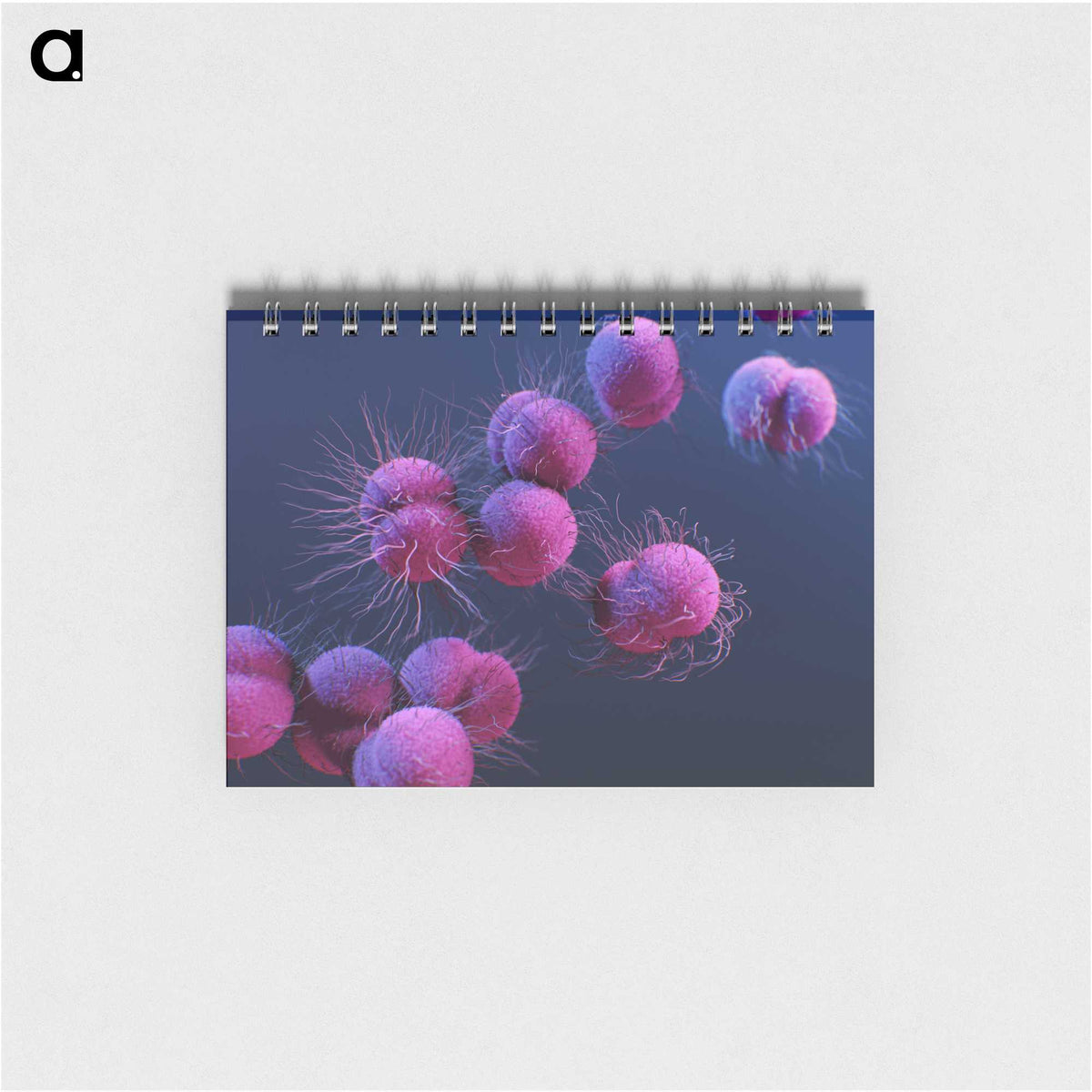 1-8_COVID-19_memo