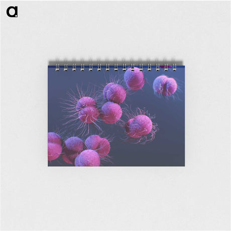 1-8_COVID-19_memo