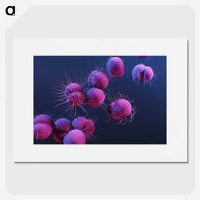 1-8_COVID-19_picture