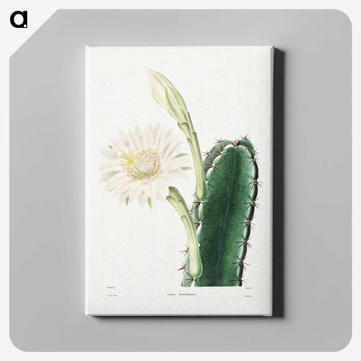 1-8_Charles-Antoine-Lemaire_canvas