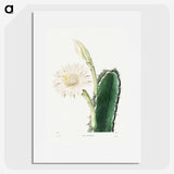 1-8_Charles-Antoine-Lemaire_picture