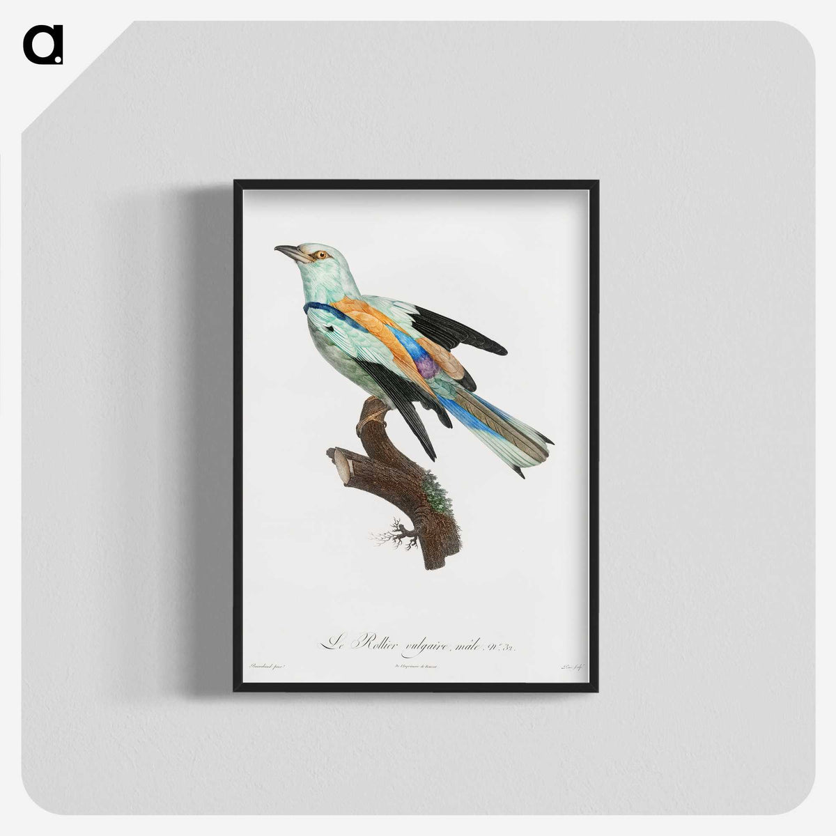 1-8_Des-Oiseaux-de-Paradis_blk-crop