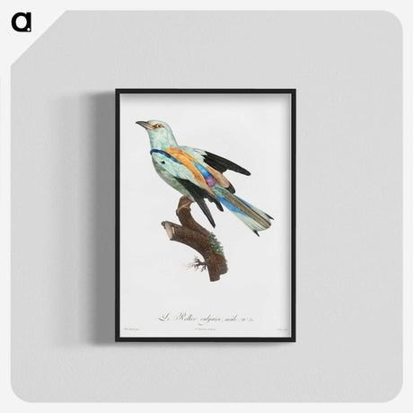 1-8_Des-Oiseaux-de-Paradis_blk-crop